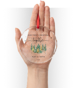 Acrylic Circle Ornament